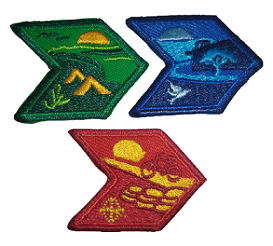 INSIGNIAS DE DESARROLLO SUSTENTABLE DE TROPA (IDS)
