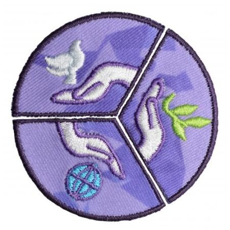 INSIGNIAS DE DESARROLLO DE COMUNIDAD (IDS)