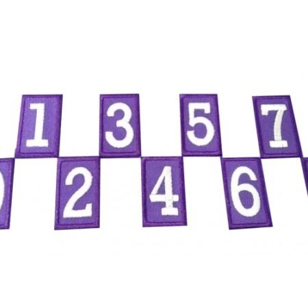 NUMEROS MORADOS