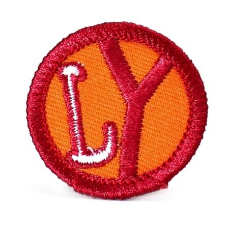 PIN LIDER DE PROYECTO ROVER