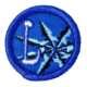 PIN LIDER DE PROYECTO CAMINANTES