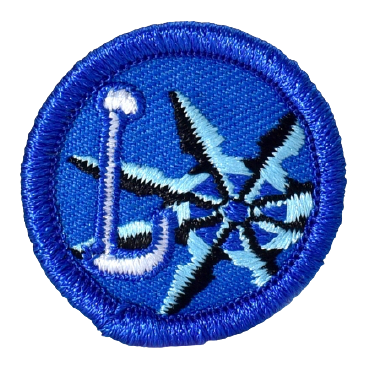 PIN LIDER DE PROYECTO CAMINANTES