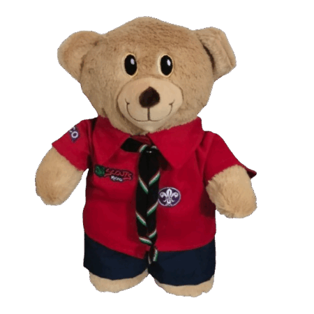 OSO SCOUTS DE MEXICO